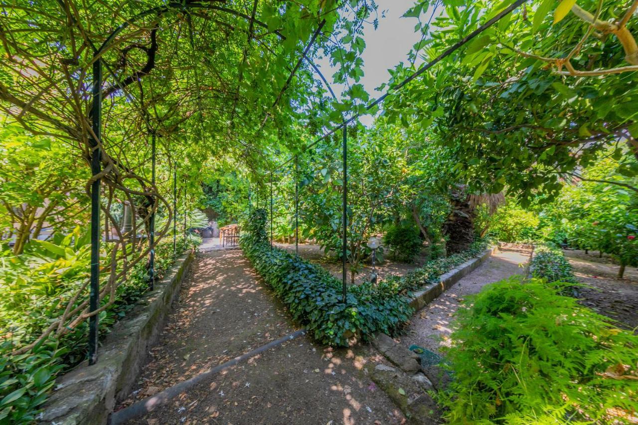 Villa Mezzarancia Palermo Luaran gambar